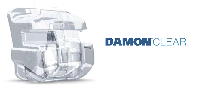 Brackets Damon Clear